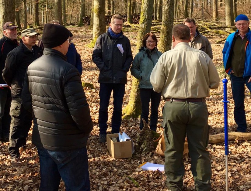 Waldbegang im Gemündener Stadtwald